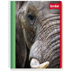 Cuaderno profesional Scribe 100 hojas espiral doble raya